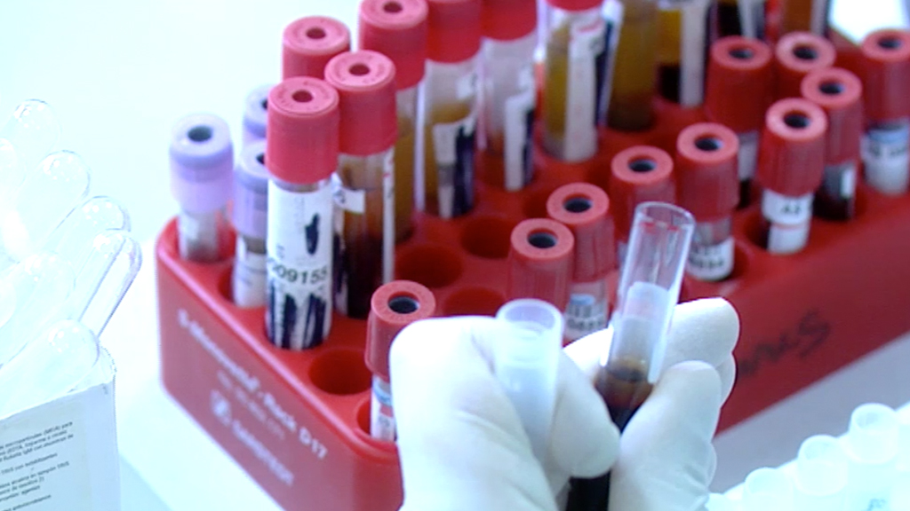Hccl laboratory provider portal